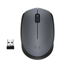 Logitech M170 Grey-K mouse...
